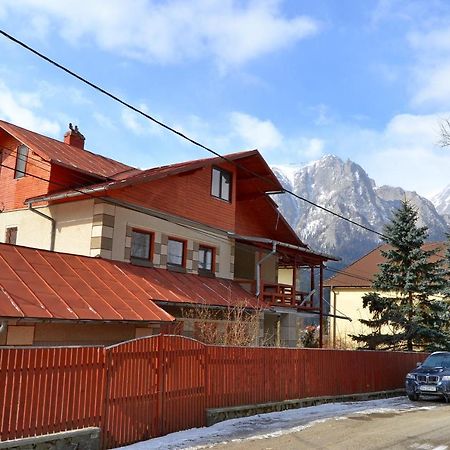 Vila Maris Буштени Экстерьер фото