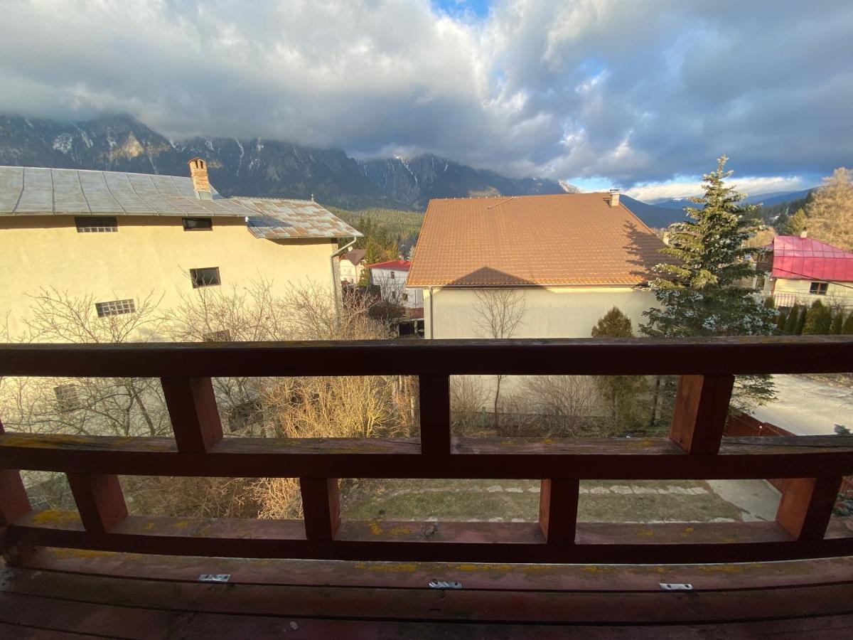 Vila Maris Буштени Экстерьер фото