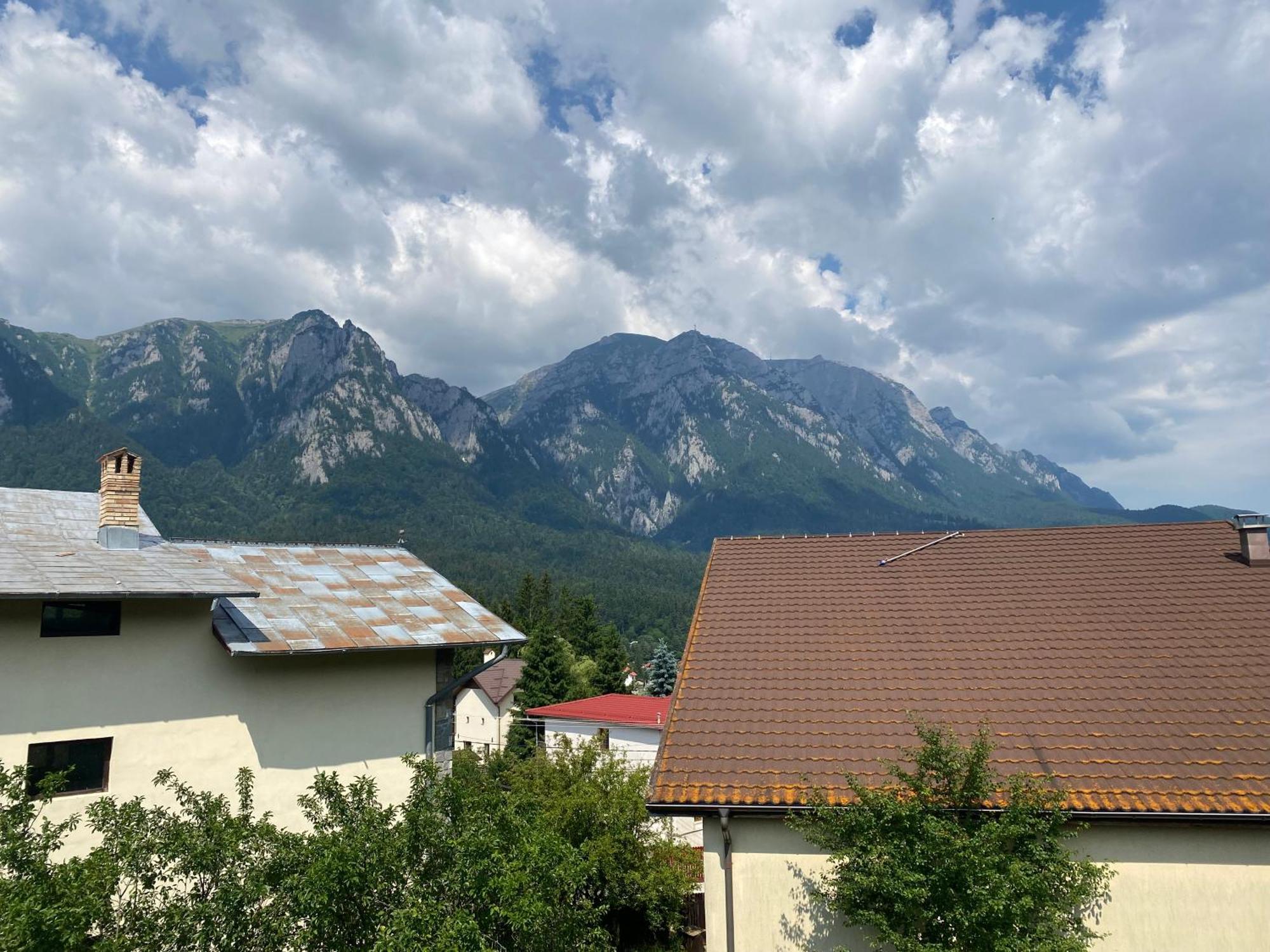 Vila Maris Буштени Экстерьер фото
