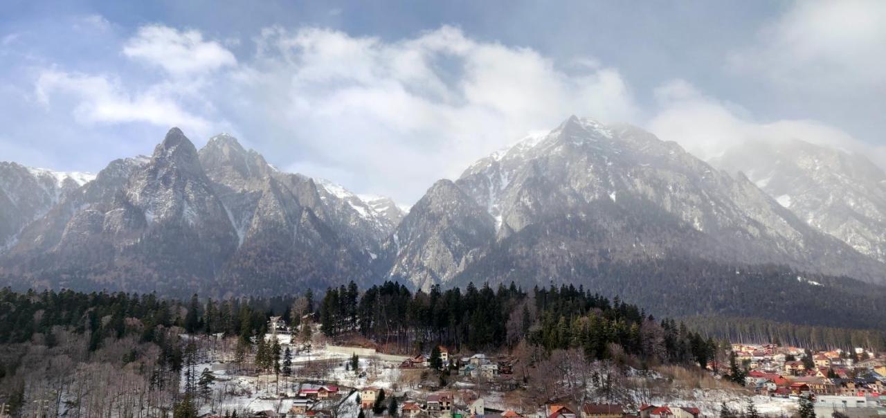Vila Maris Буштени Экстерьер фото