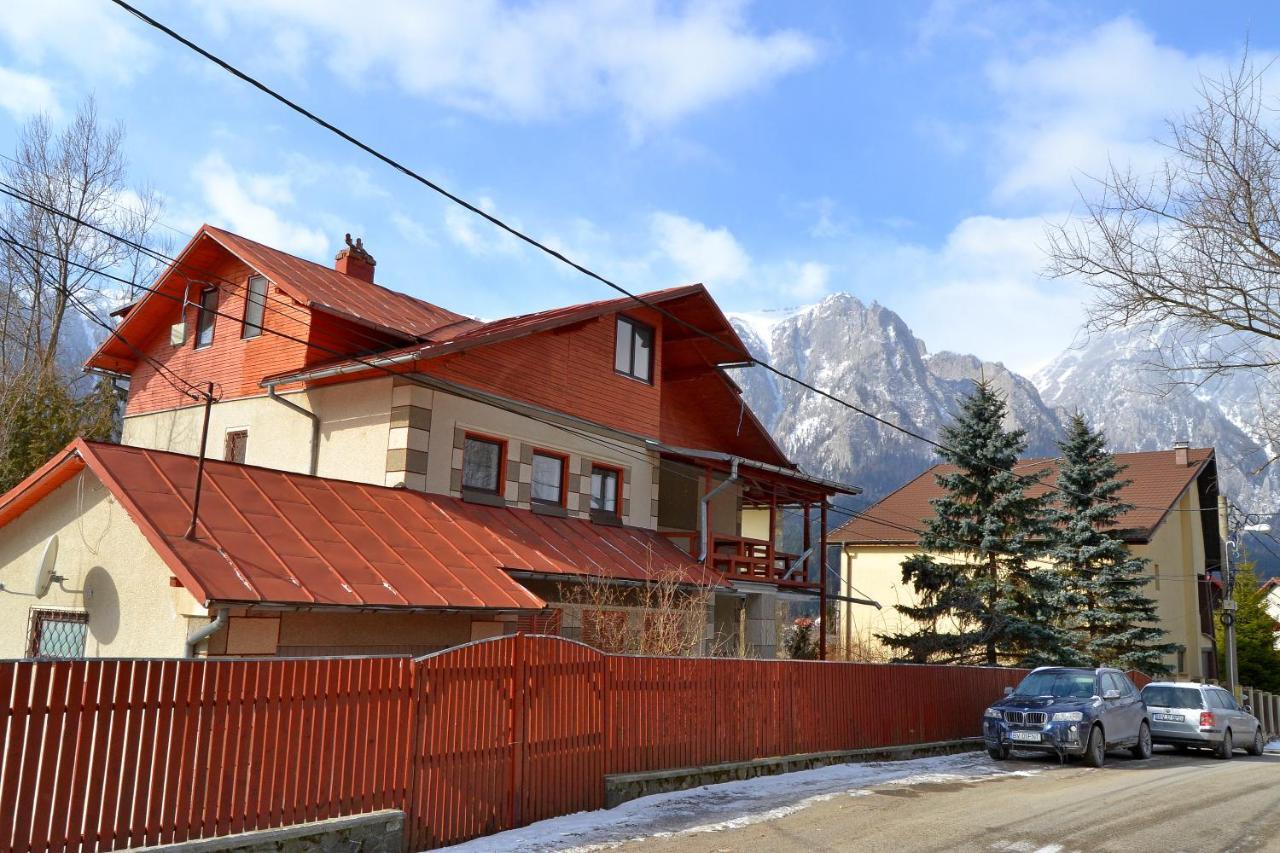 Vila Maris Буштени Экстерьер фото
